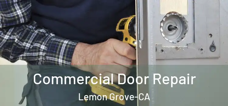  Commercial Door Repair Lemon Grove-CA