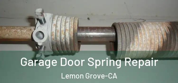  Garage Door Spring Repair Lemon Grove-CA