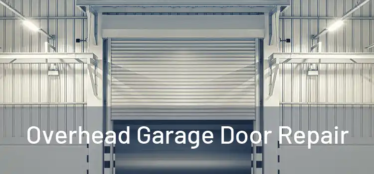  Overhead Garage Door Repair 